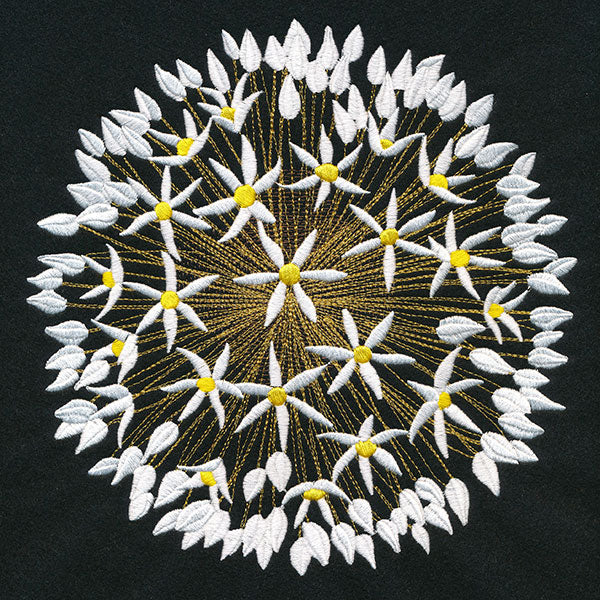 Wonder & Beauty Allium