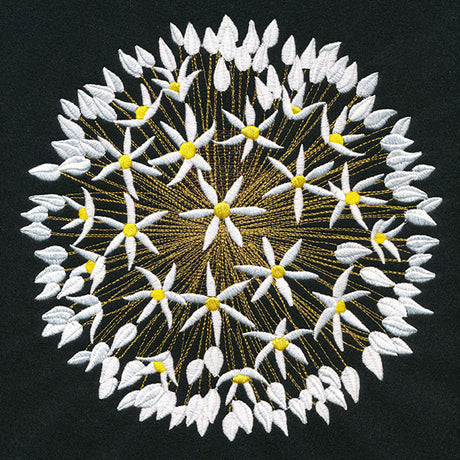 Wonder & Beauty Allium