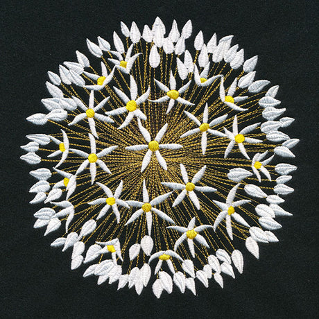 Wonder & Beauty Allium