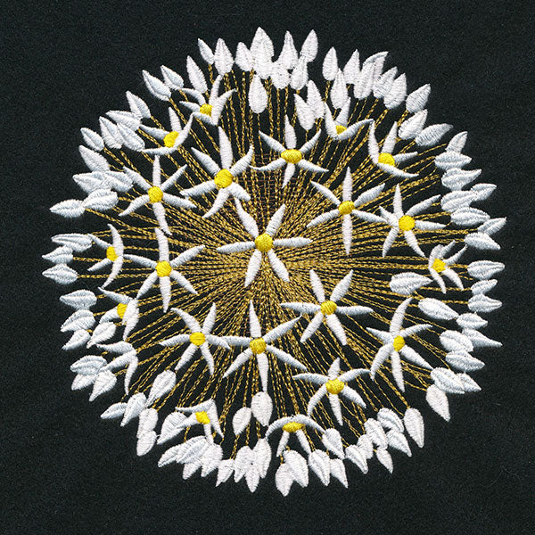 Wonder & Beauty Allium