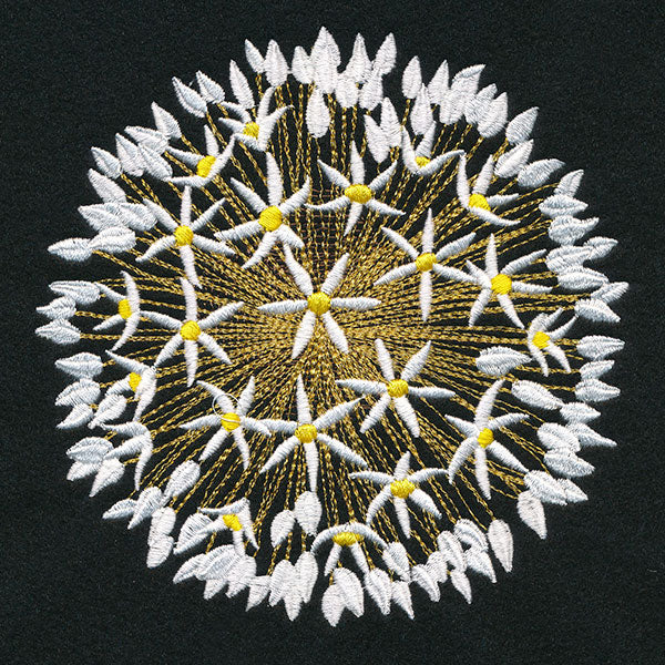 Wonder & Beauty Allium