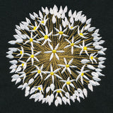 Wonder & Beauty Allium