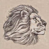 The Pride of a Lion Etching