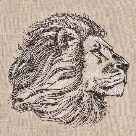 The Pride of a Lion Etching