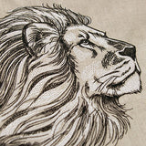 The Pride of a Lion Etching