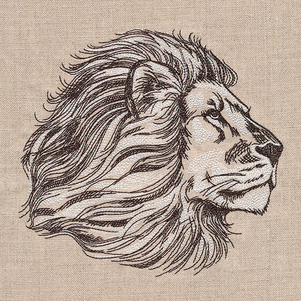 The Pride of a Lion Etching