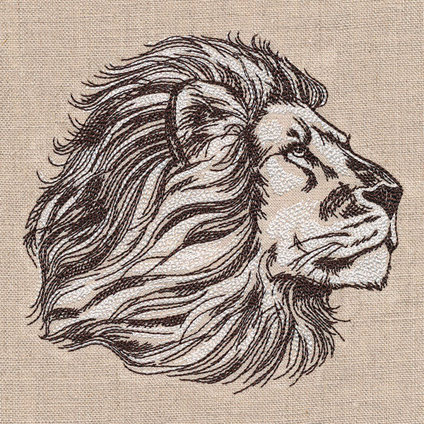 The Pride of a Lion Etching