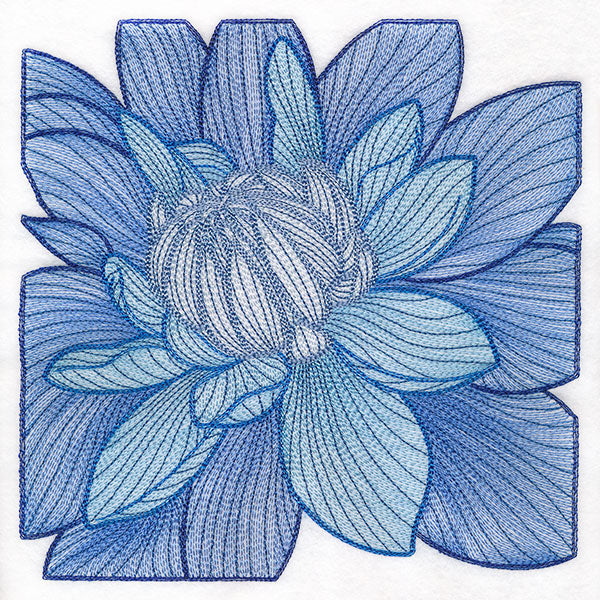 Creative Contour Macro Dahlia