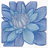 Creative Contour Macro Dahlia