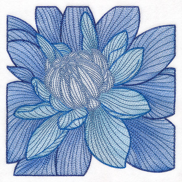 Creative Contour Macro Dahlia