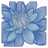 Creative Contour Macro Dahlia