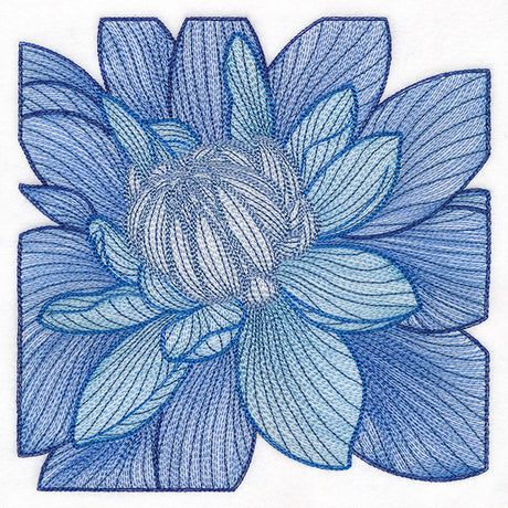 Creative Contour Macro Dahlia