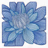 Creative Contour Macro Dahlia