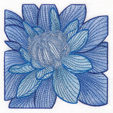 Creative Contour Macro Dahlia