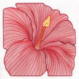 Creative Contour Macro Hibiscus