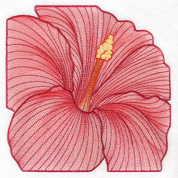 Creative Contour Macro Hibiscus