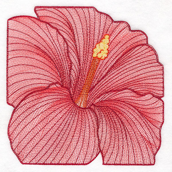 Creative Contour Macro Hibiscus