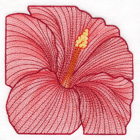 Creative Contour Macro Hibiscus