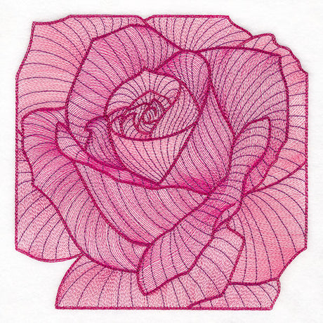 Creative Contour Macro Rose