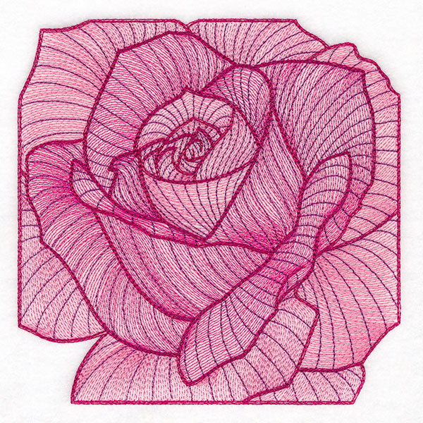 Creative Contour Macro Rose