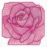 Creative Contour Macro Rose