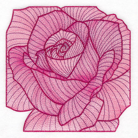 Creative Contour Macro Rose