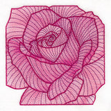 Creative Contour Macro Rose