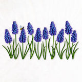 Heavenly Grape Hyacinth Border