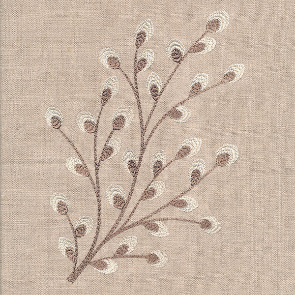 Time for Texture Pussywillow