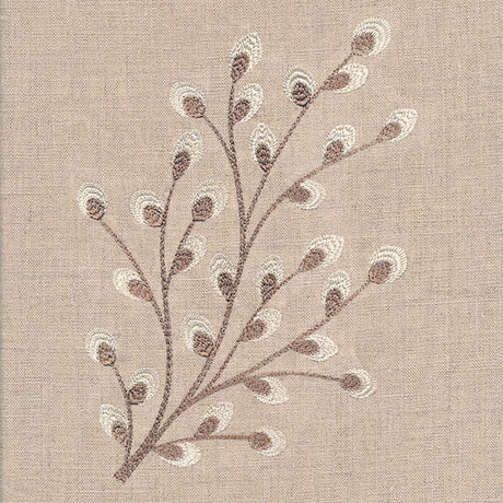 Time for Texture Pussywillow