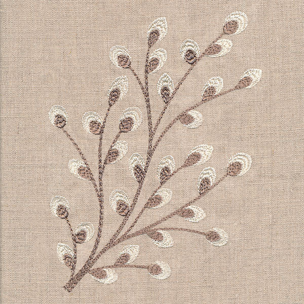 Time for Texture Pussywillow