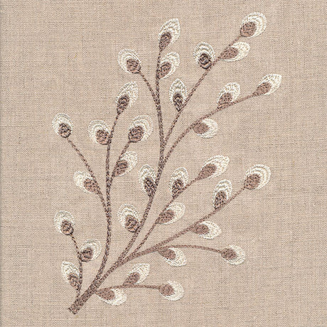 Time for Texture Pussywillow