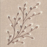 Time for Texture Pussywillow