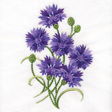 Textured Bachelor Button Feature