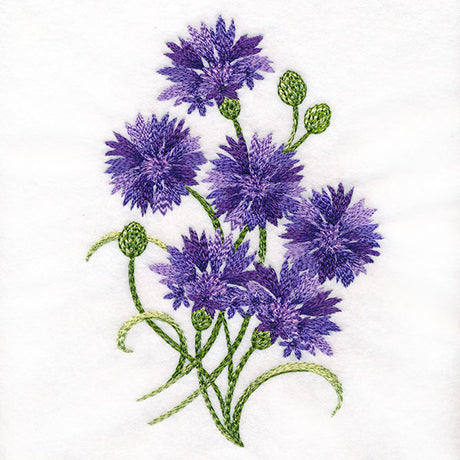 Textured Bachelor Button Feature