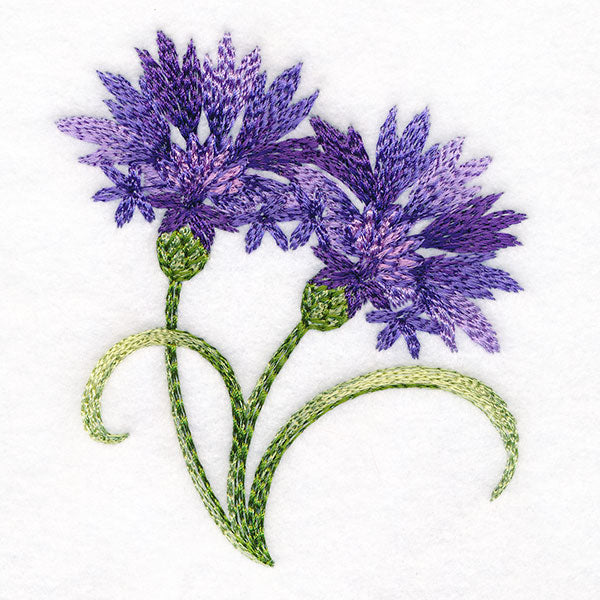 Textured Bachelor Button Accent