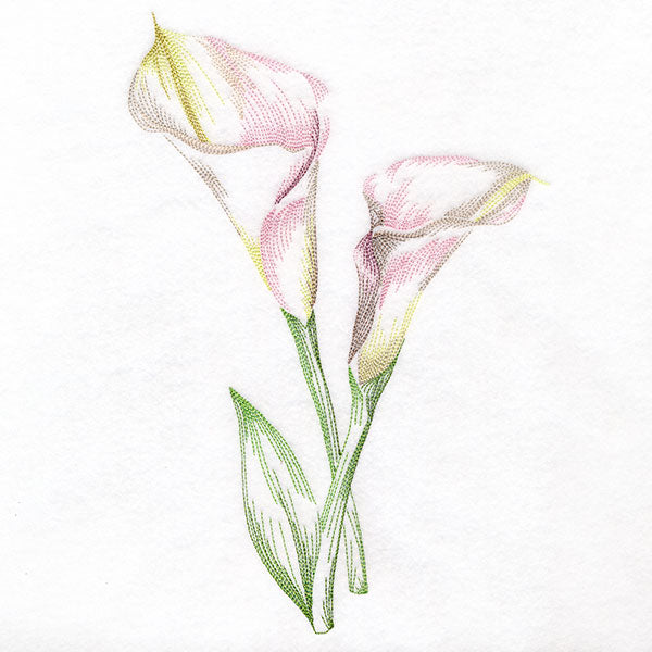 Contours of Beauty Calla Lily