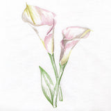 Contours of Beauty Calla Lily