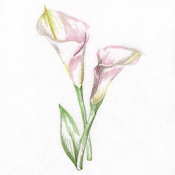 Contours of Beauty Calla Lily