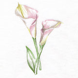 Contours of Beauty Calla Lily