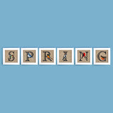 For the Love of Spring Birds Square - Letter S and Ruby Throated Hummingbird