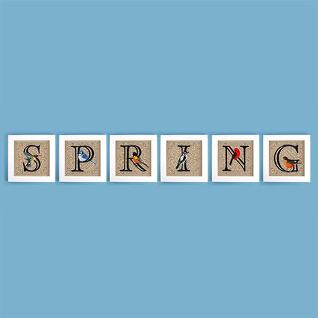 For the Love of Spring Birds Square - Letter P and Bluejay