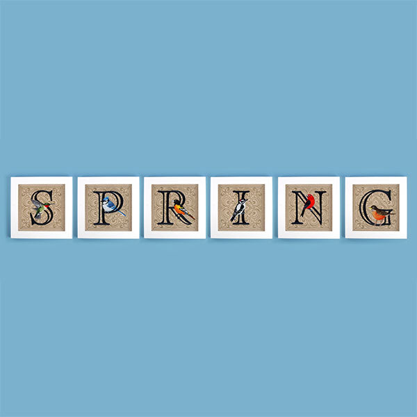 For the Love of Spring Birds Square - Letter I and Downy Woodpecker