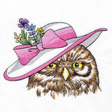Southern Belle Sun Hat Owl