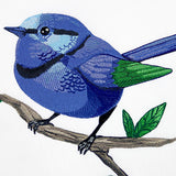 Wild & Blue Splendid Fairywren
