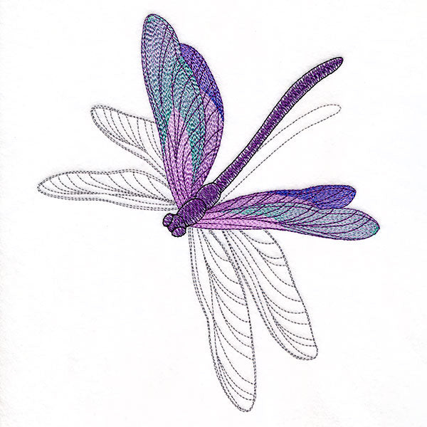 Delicate Shadows Dragonfly