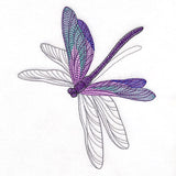 Delicate Shadows Dragonfly