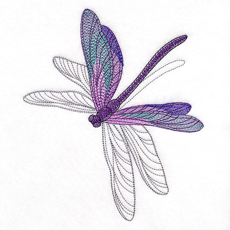 Delicate Shadows Dragonfly