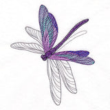 Delicate Shadows Dragonfly