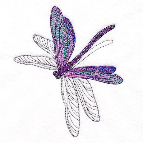 Delicate Shadows Dragonfly